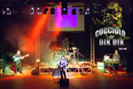 Foto Live Cucciolo